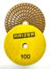 Круг шлифовальный для плитки P100 (черепашка) RAIZER